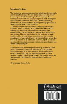 Molecular Applications in Biological Anthropology