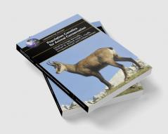 Population Genetics for Animal Conservation