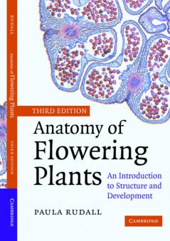 Anatomy of Flowering Plants