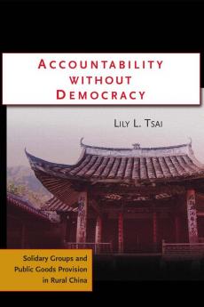 Accountability Without Democracy