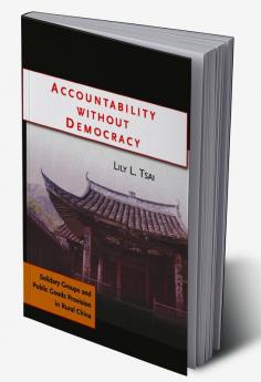Accountability Without Democracy