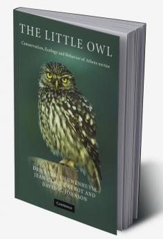 The Little Owl