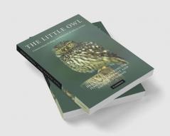The Little Owl