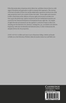 Perspectives on Labour Law