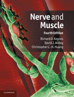 Nerve and Muscle