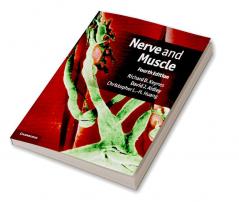 Nerve and Muscle