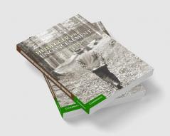 Heidegger and Unconcealment