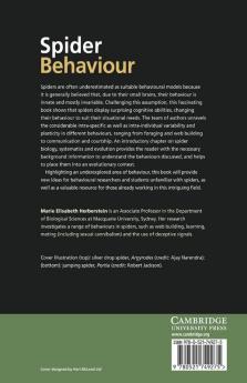 Spider Behaviour