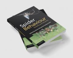 Spider Behaviour