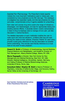 Essential Pain Pharmacology