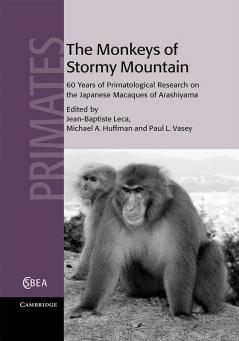 The Monkeys of Stormy Mountain