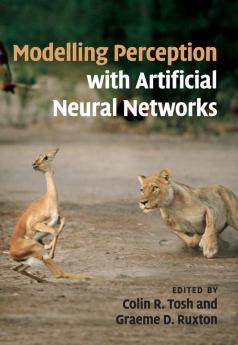 Modelling Perception with Artificial Neural             Networks