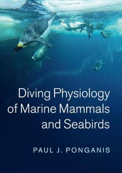 Diving Physiology of Marine Mammals and Seabirds