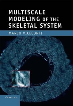 Multiscale Modeling of the Skeletal System
