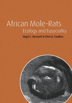 African Mole-Rats