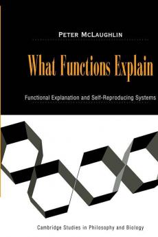 What Functions Explain