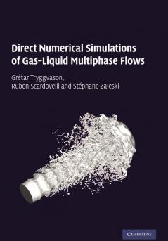 Direct Numerical Simulations of Gas-Liquid Multiphase             Flows
