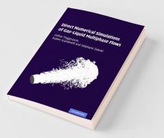 Direct Numerical Simulations of Gas-Liquid Multiphase             Flows