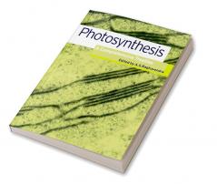 Photosynthesis