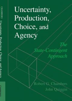 Uncertainty Production Choice and Agency