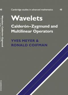 Wavelets