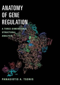 Anatomy of Gene Regulation