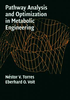 Pathway Analysis and Optimization in Metabolic Engineering