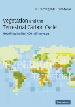 Vegetation Terrestrial Carbon Cycle