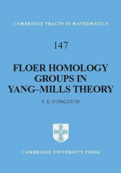 Floer Homology Groups in Yang-Mills Theory