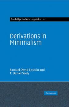 Derivations in Minimalism