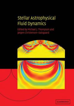 Stellar Astrophysical Fluid Dynamics