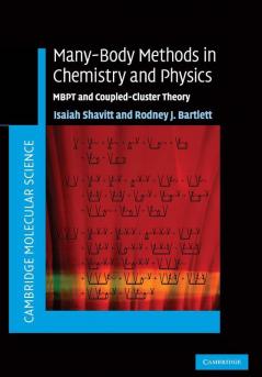 Many-Body Methods in Chemistry and Physics