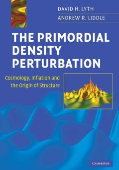 The Primordial Density Perturbation
