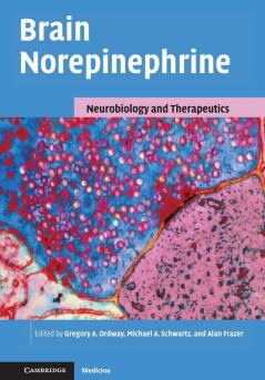 Brain Norepinephrine
