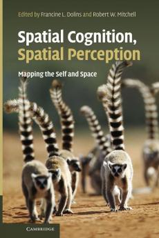 Spatial Cognition Spatial Perception