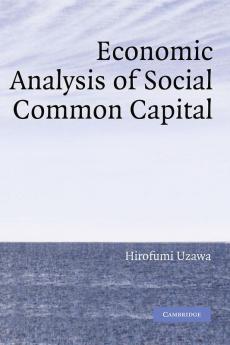 Economic Analysis of Social Common Capital