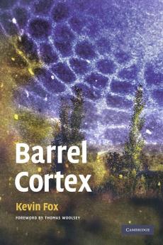 Barrel Cortex