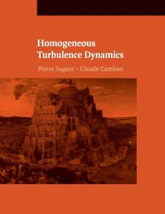 Homogeneous Turbulence Dynamics