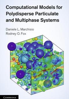 Computational Models for Polydisperse Particulate and Multiphase Systems