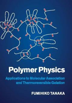 Polymer Physics