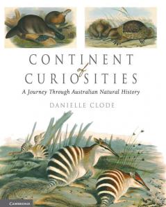 Continent of Curiosities