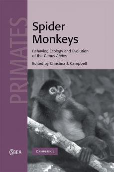 Spider Monkeys