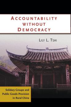 Accountability Without Democracy
