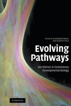 Evolving Pathways