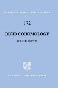 Rigid Cohomology