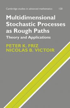 Multidimensional Stochastic Processes as Rough Paths
