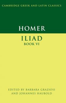 Iliad Book 6