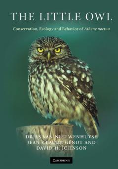 The Little Owl