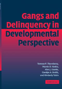 Gang Delinquency Develop Perspectve