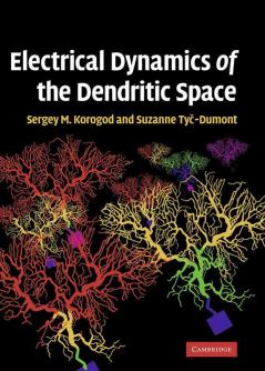 Electrical Dynamics of the Dendritic Space